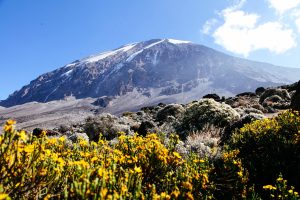 Mount Kilimanjaro Umbwe route Tanzania Destinations