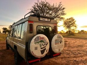 How Many Days Should a Safari Last