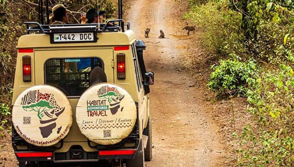 IMG-20250925-WA0027 small