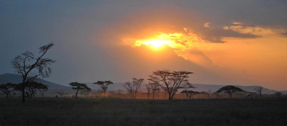 The Untold Rhythm of Africa