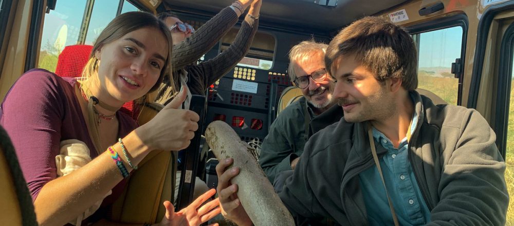 Tanzania Safari Cost